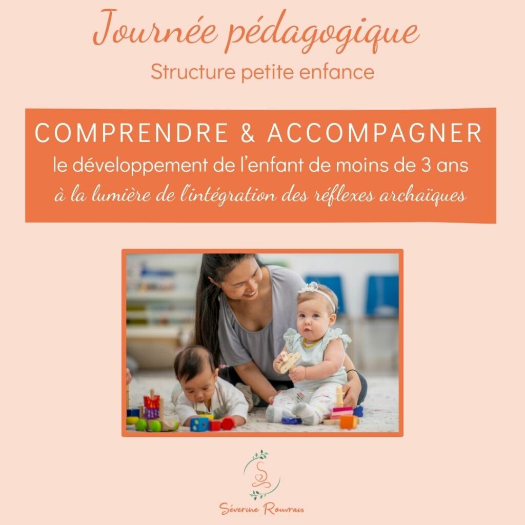 professionnels petite enfance crèche assistantes maternelles journée pédagogique